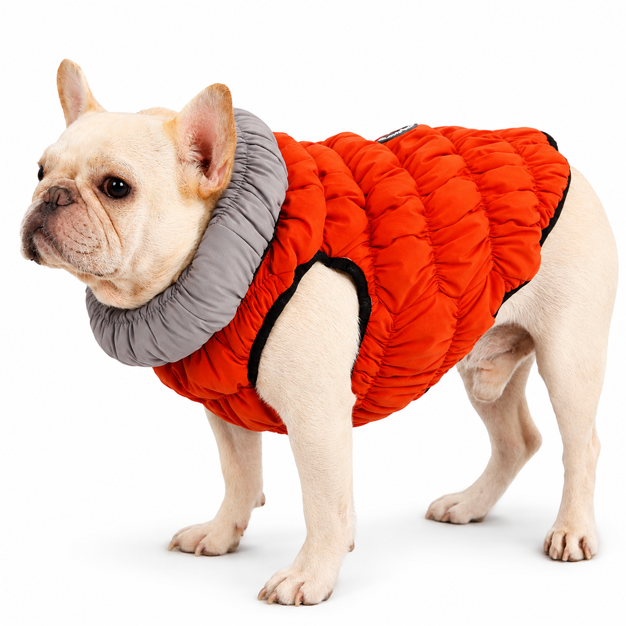 Orange reversible dog cotton vest by Pawnesta, warm stretch jacket designed for small dogs, featuring comfortable and stylish wear.