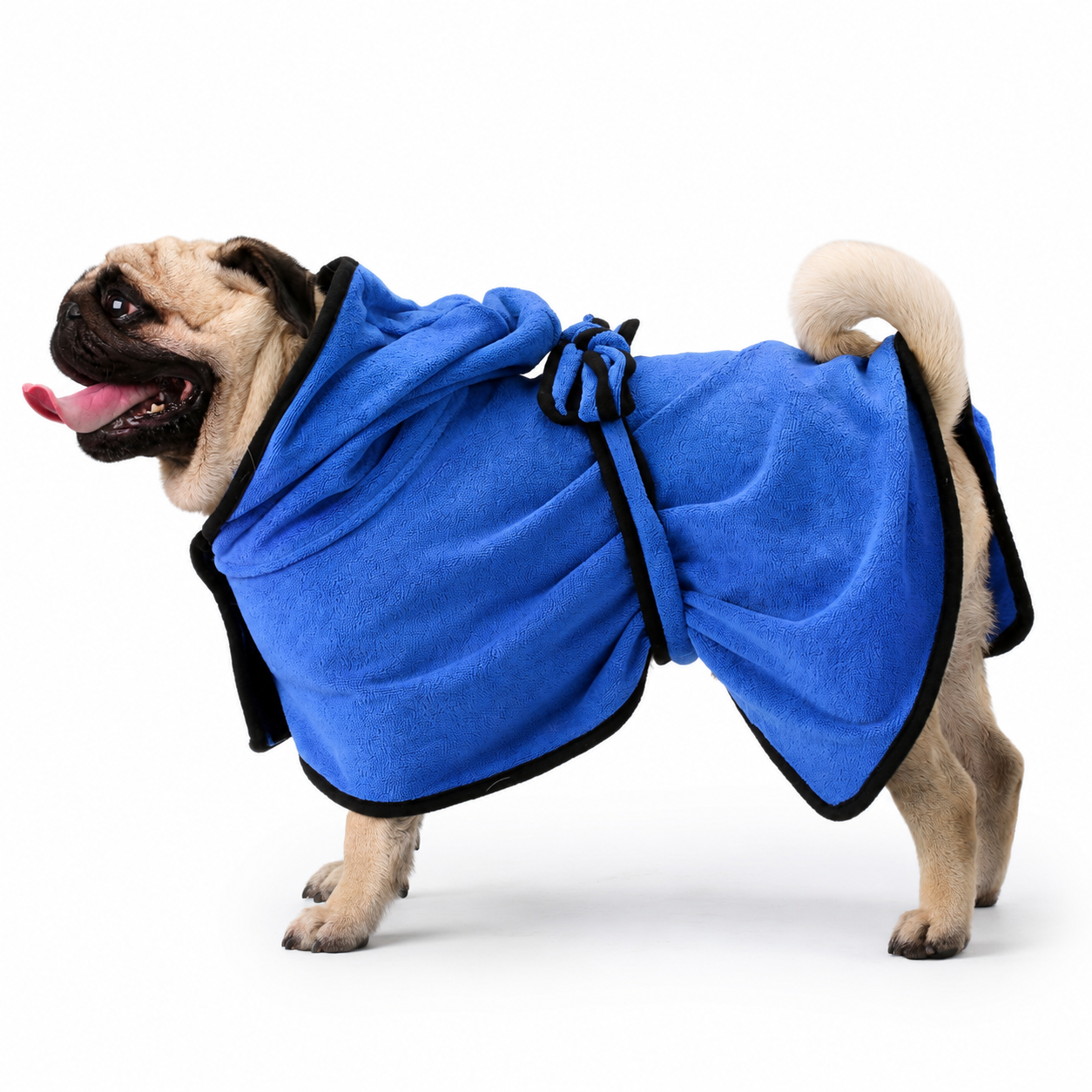 Dog wearing a blue fleece coat on a white background