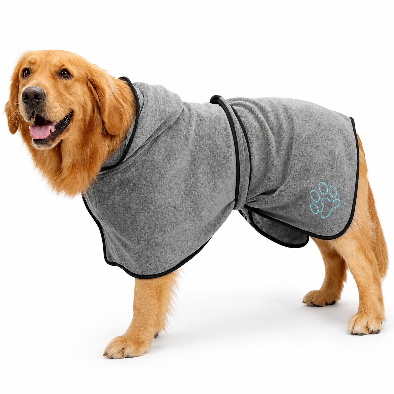 Dog wearing a gray hoodie with a paw print design on a white background