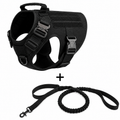 Black dog harness and leash set on a white background